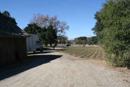 Enlarge photo 227