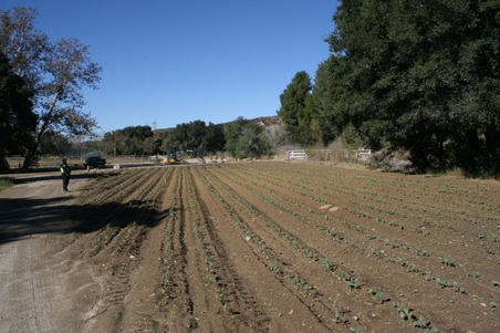 Enlarge photo 234