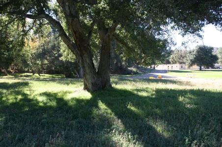 Enlarge photo 235