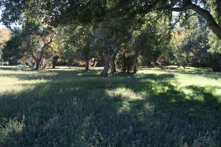 Enlarge photo 236