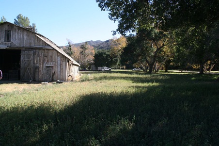Enlarge photo 237