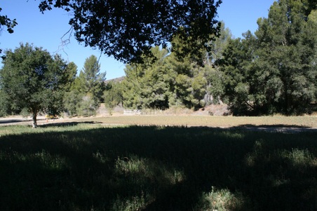Enlarge photo 241