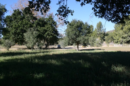 Enlarge photo 242