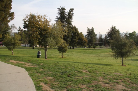 Enlarge photo 4