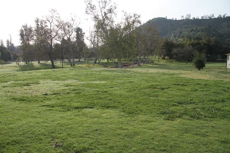 Enlarge photo 15