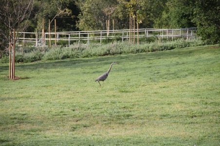 Enlarge photo 17