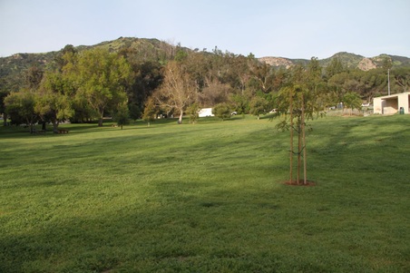 Enlarge photo 29