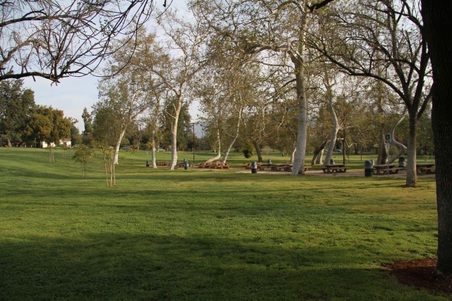 Enlarge photo 30