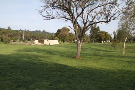 Enlarge photo 31