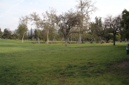 Enlarge photo 34