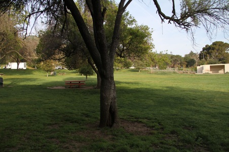 Enlarge photo 36