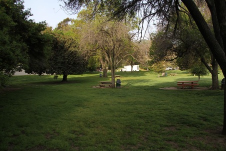 Enlarge photo 37