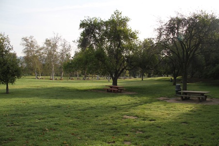 Enlarge photo 38