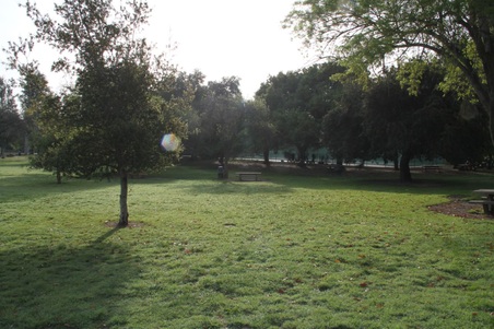 Enlarge photo 42