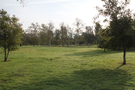 Enlarge photo 43
