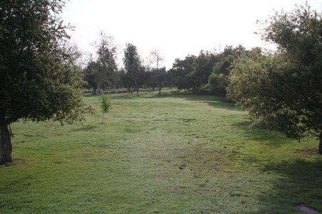 Enlarge photo 46