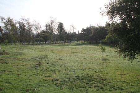 Enlarge photo 47