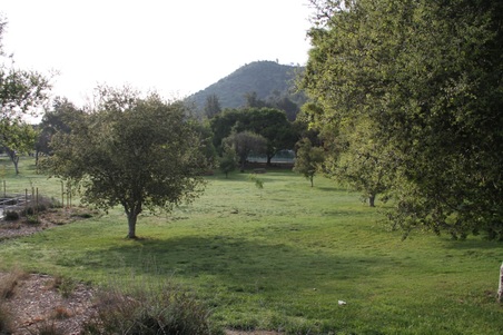 Enlarge photo 49