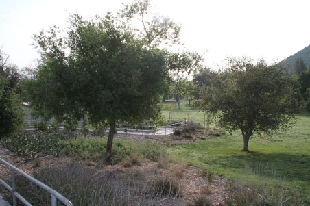 Enlarge photo 50