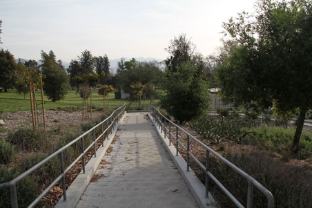 Enlarge photo 51