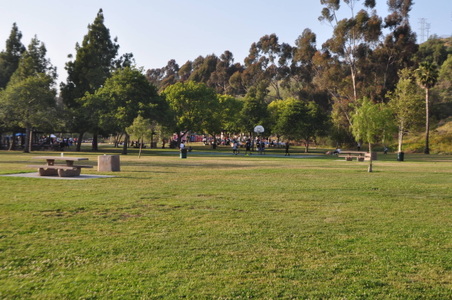 Enlarge photo 10