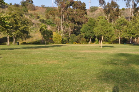 Enlarge photo 12