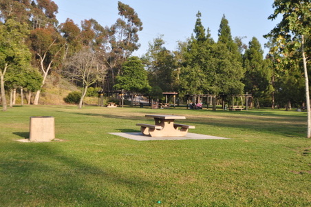 Enlarge photo 13