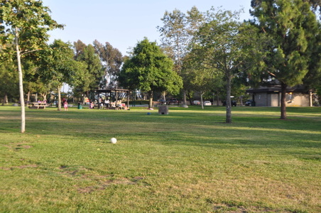 Enlarge photo 14
