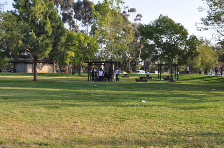 Enlarge photo 15