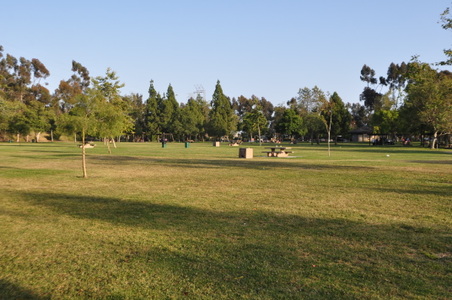 Enlarge photo 19