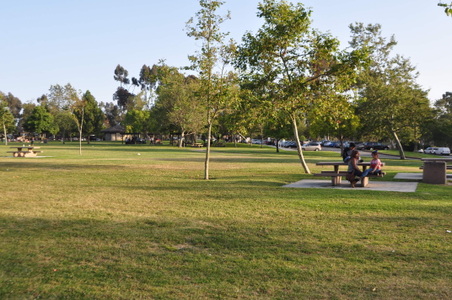 Enlarge photo 20