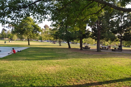 Enlarge photo 23