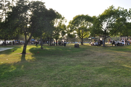 Enlarge photo 32