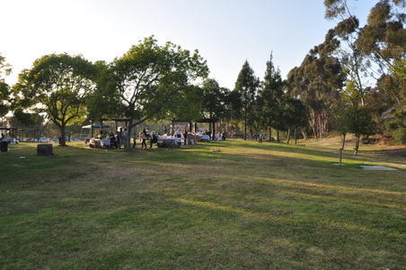 Enlarge photo 33