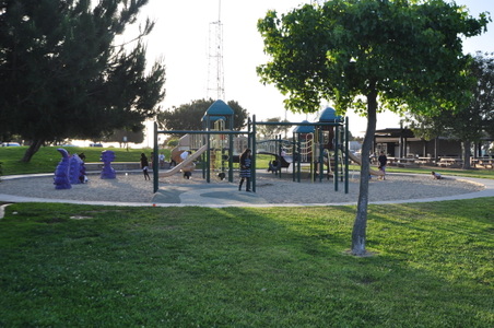 Enlarge photo 39