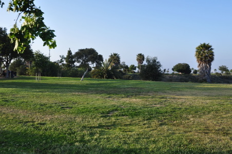 Enlarge photo 40