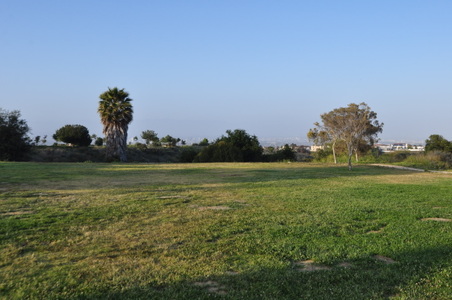 Enlarge photo 41
