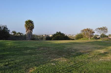 Enlarge photo 42