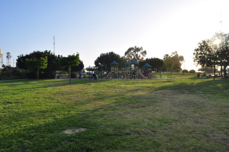 Enlarge photo 45