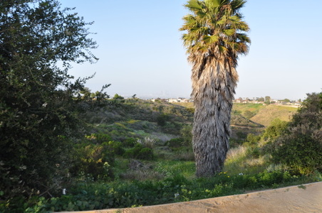 Enlarge photo 46