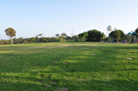 Enlarge photo 47