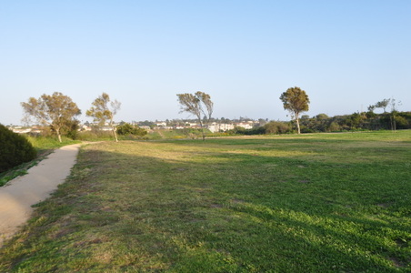 Enlarge photo 48