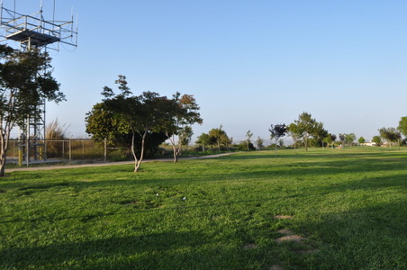 Enlarge photo 50