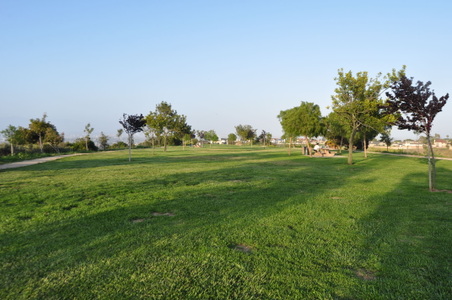 Enlarge photo 51