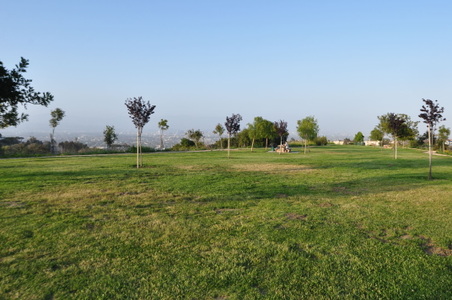 Enlarge photo 52
