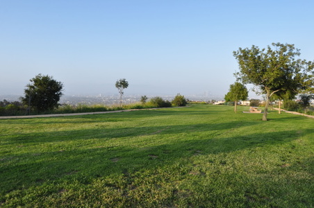 Enlarge photo 53