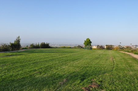 Enlarge photo 54