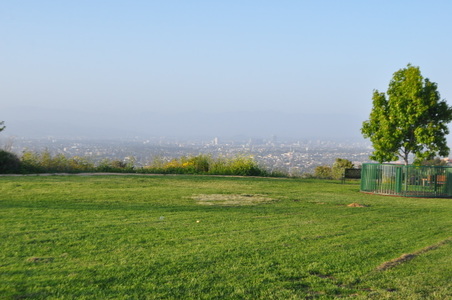 Enlarge photo 55