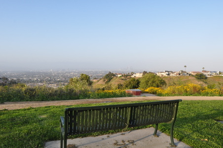 Enlarge photo 58