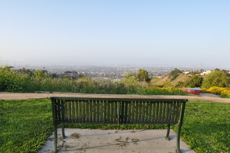 Enlarge photo 59